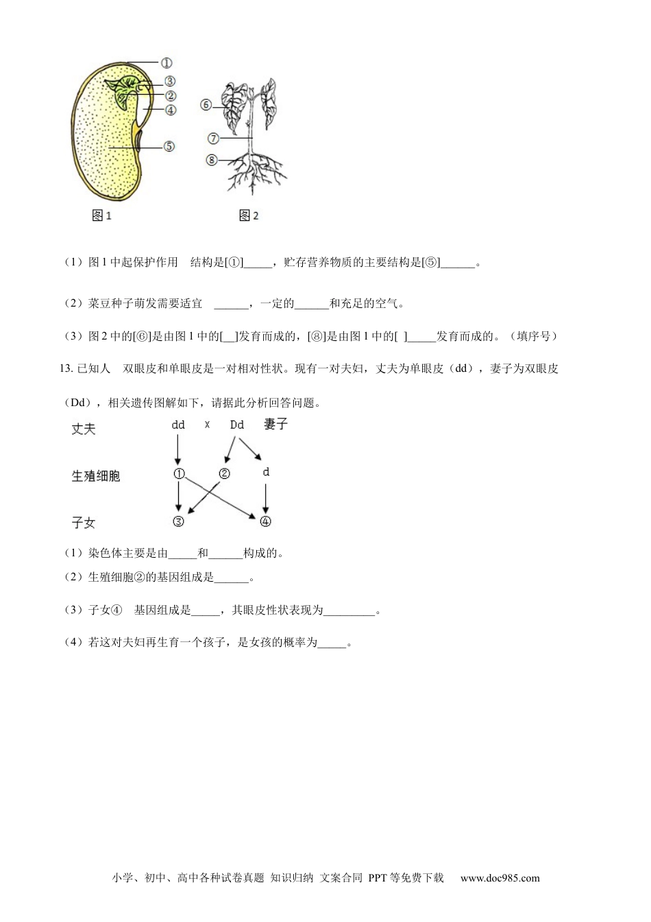 【中考历年真题】精品解析：2023年甘肃省武威市、嘉峪关市、临夏州中考生物真题（原卷版）.docx