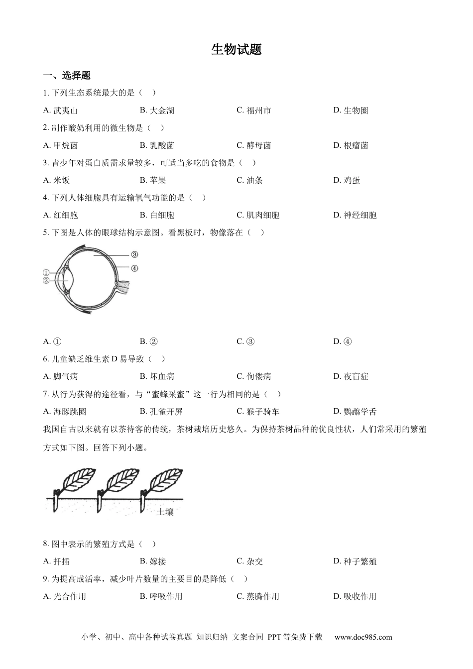 【中考历年真题】精品解析：2023年福建省中考生物真题（原卷版）.docx