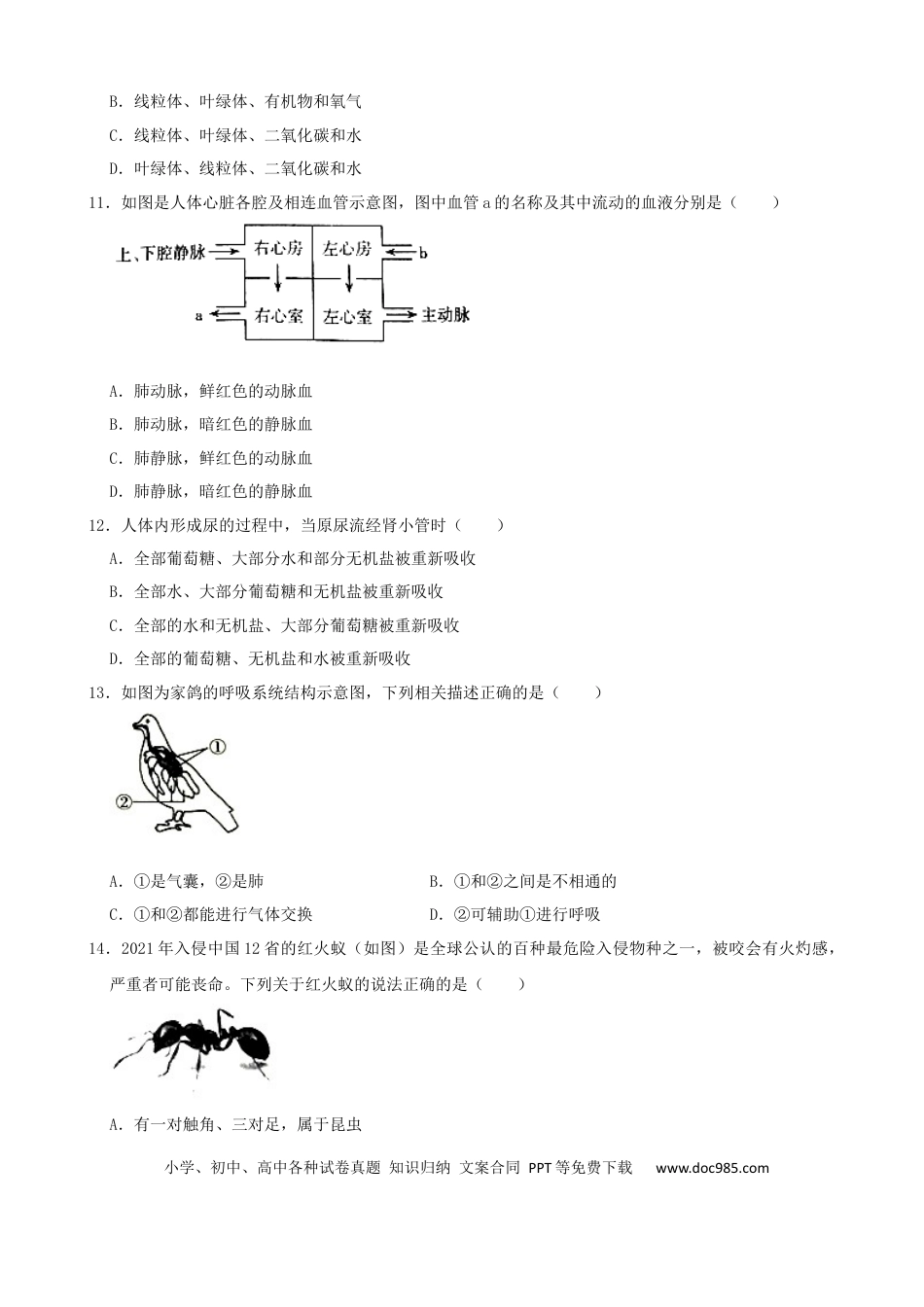 【中考历年真题】2021年山西省太原市中考生物真题（解析版）.docx
