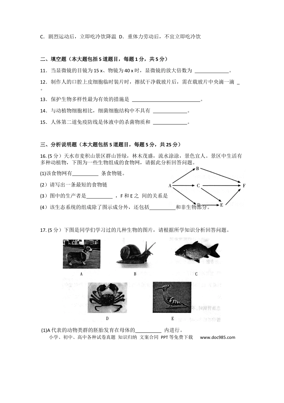 【中考历年真题】试题.docx