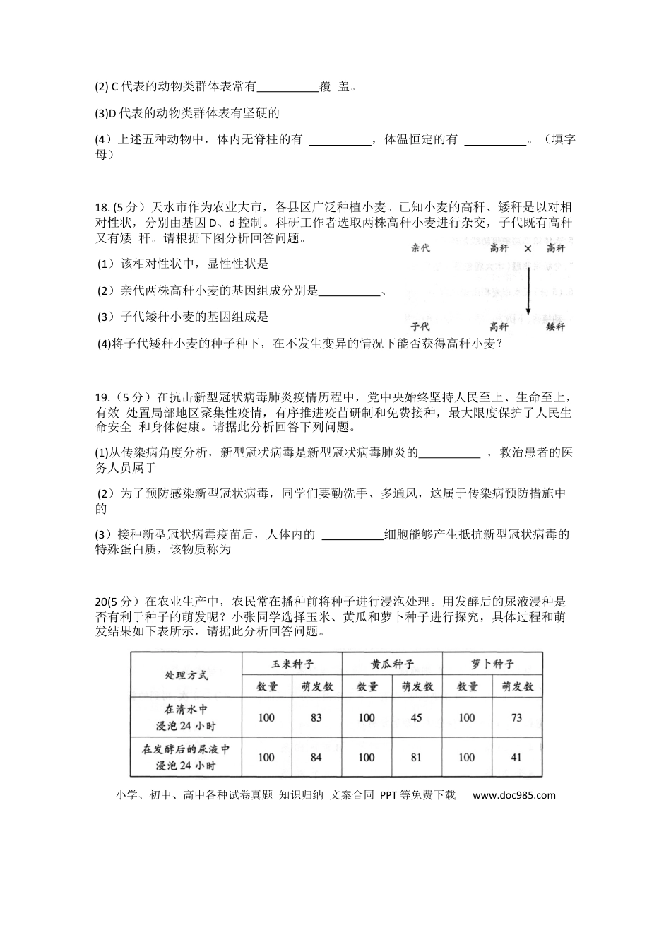 【中考历年真题】试题.docx