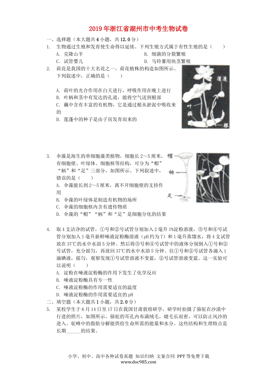 【中考历年真题】浙江省湖州市2019年中考生物真题试题（含解析）.docx