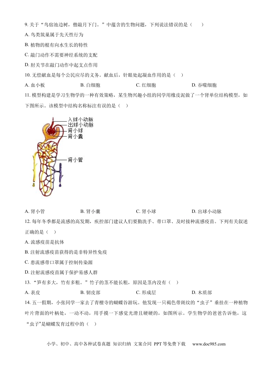 【中考历年真题】精品解析：2024年山东省枣庄市中考生物真题（原卷版）.docx