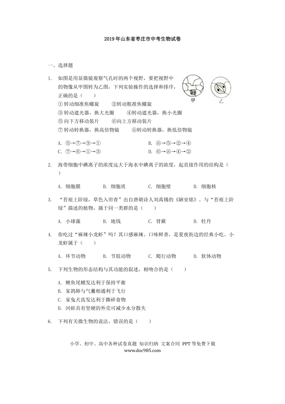 【中考历年真题】2019年山东省枣庄市中考生物试卷真题（含解析）.docx