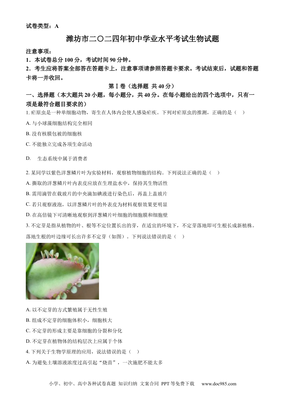 【中考历年真题】精品解析：2024年山东省潍坊市中考生物真题（原卷版）.docx