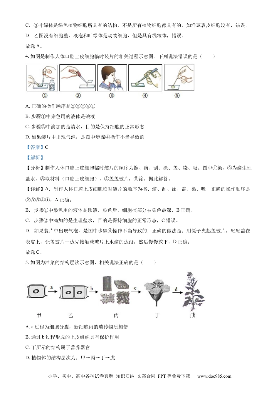 【中考历年真题】精品解析：山东省滨州市2021年中考生物试题（解析版）.docx