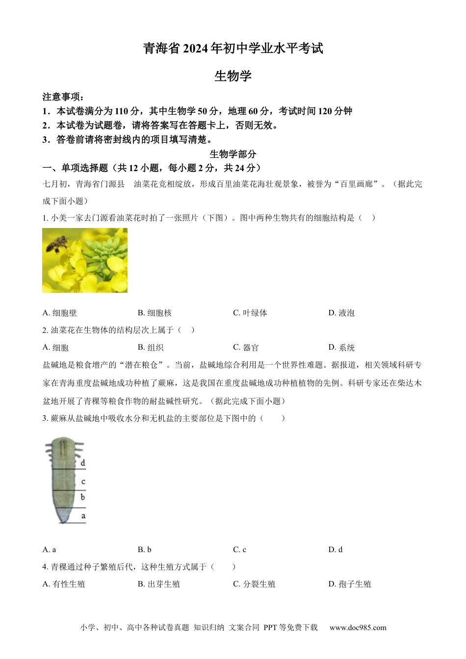 【中考历年真题】精品解析：2024年青海省中考生物真题（原卷版）.docx