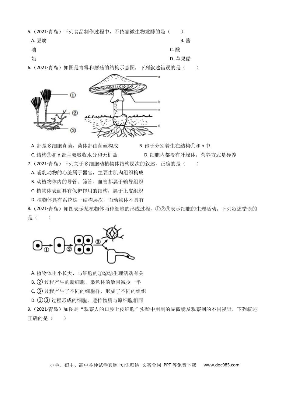【中考历年真题】2021年山东青岛初中生物学业考试题及答案.docx