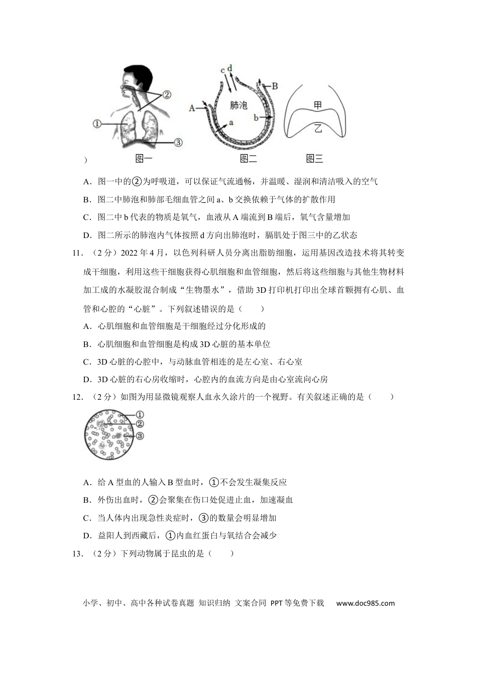 【中考历年真题】2022年湖南省益阳市中考生物试卷（解析版）.docx