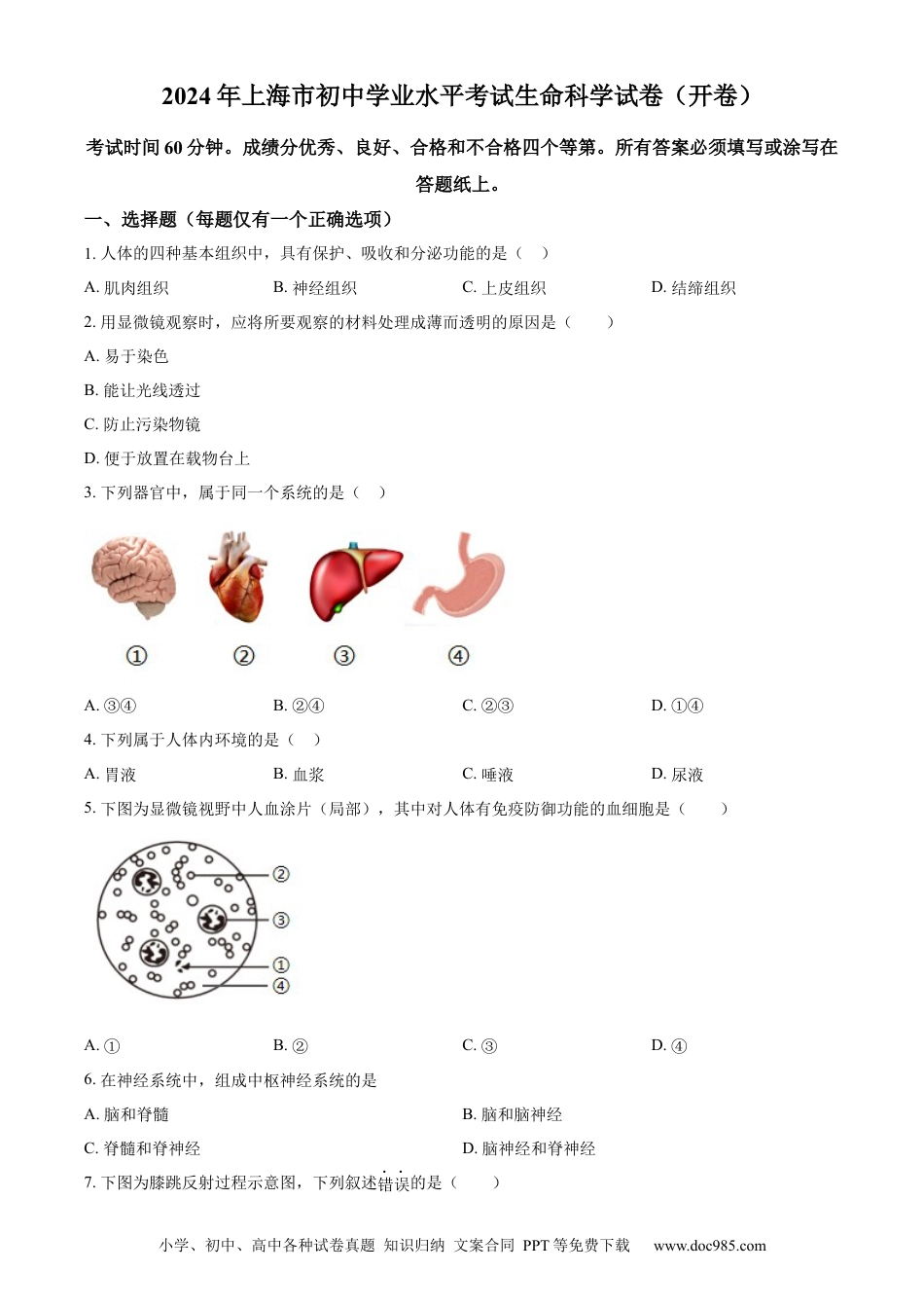 【中考历年真题】精品解析：2024年上海市中考生物试题（原卷版）.docx