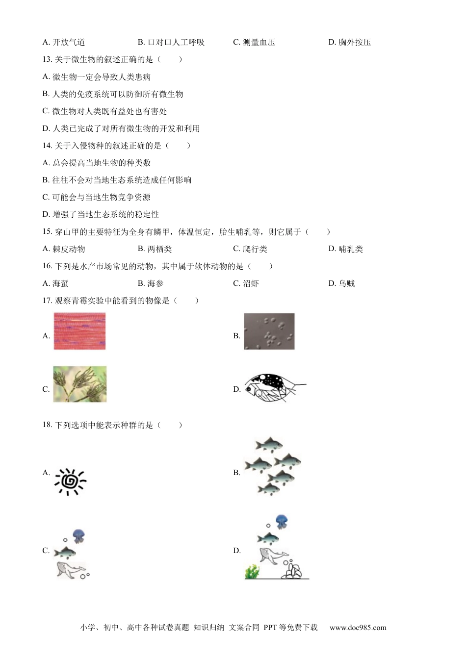 【中考历年真题】精品解析：2024年上海市中考生物试题（原卷版）.docx
