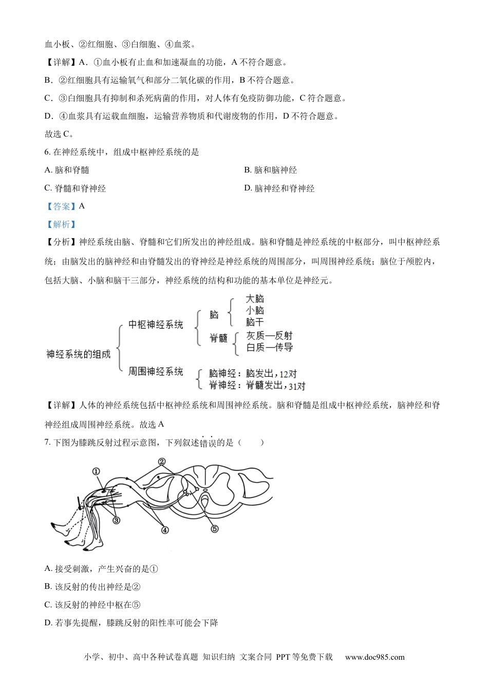 【中考历年真题】精品解析：2024年上海市中考生物试题（解析版）.docx