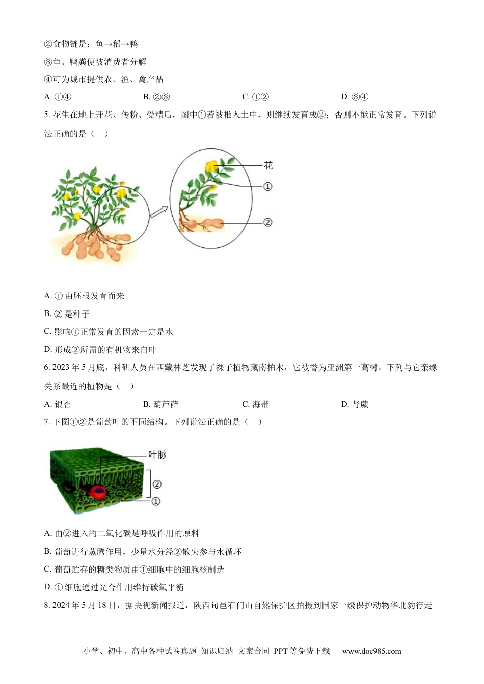 【中考历年真题】精品解析：2024年陕西省中考生物真题（原卷版） (1).docx