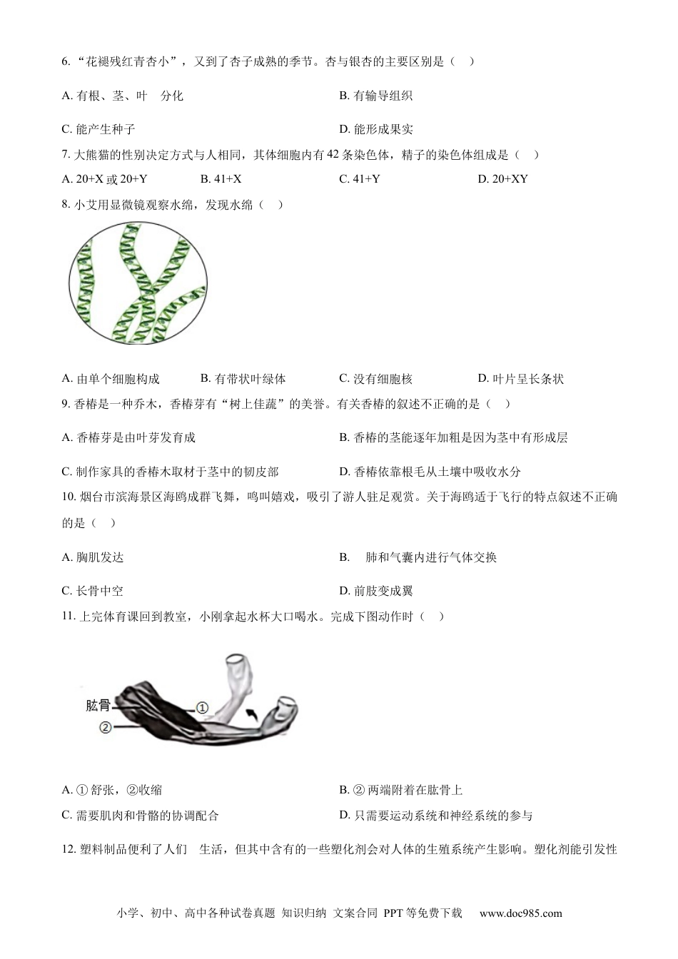 【中考历年真题】精品解析：2024年山东省烟台市中考生物试题（原卷版）.docx