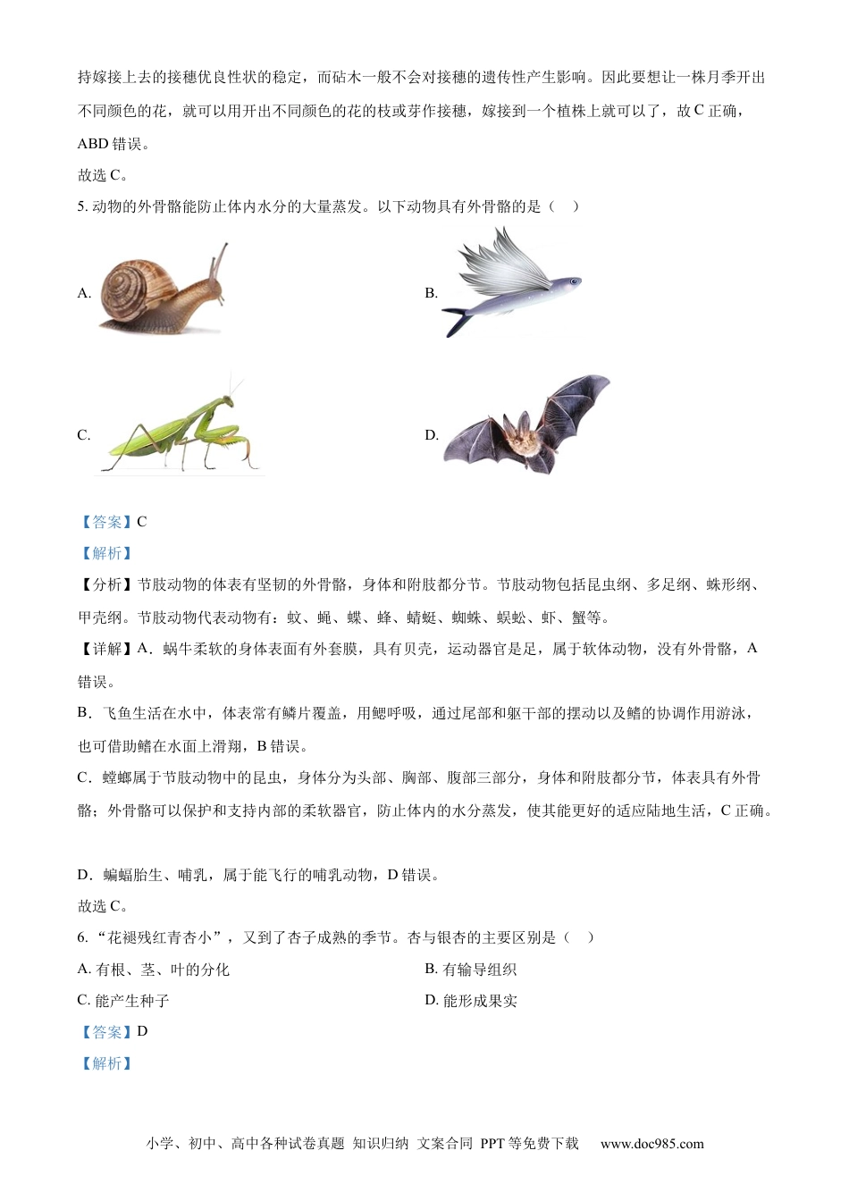 【中考历年真题】精品解析：2024年山东省烟台市中考生物试题（解析版）.docx