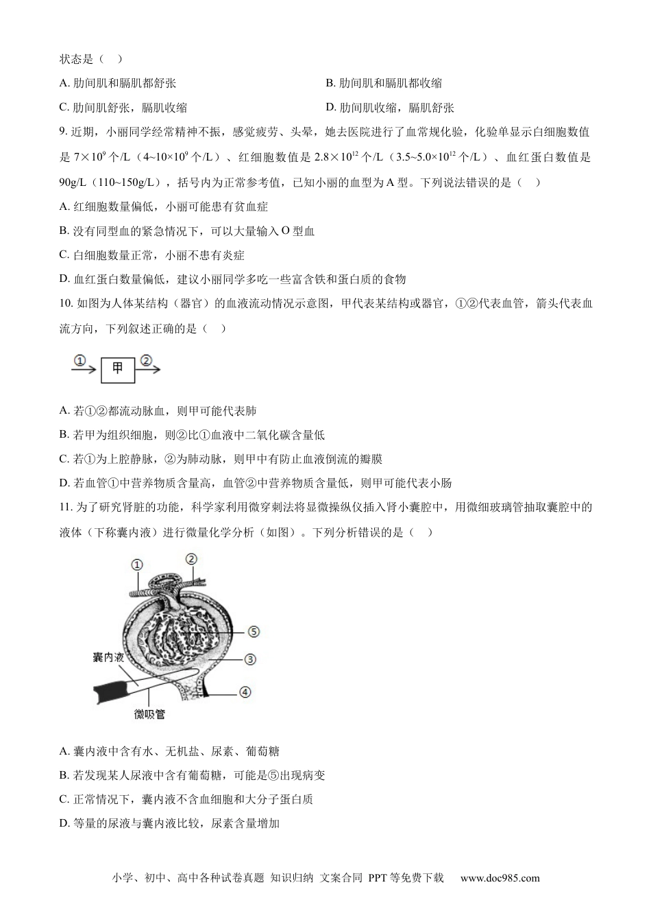 【中考历年真题】精品解析：2024年山东省聊城市中考生物试题（原卷版）.docx