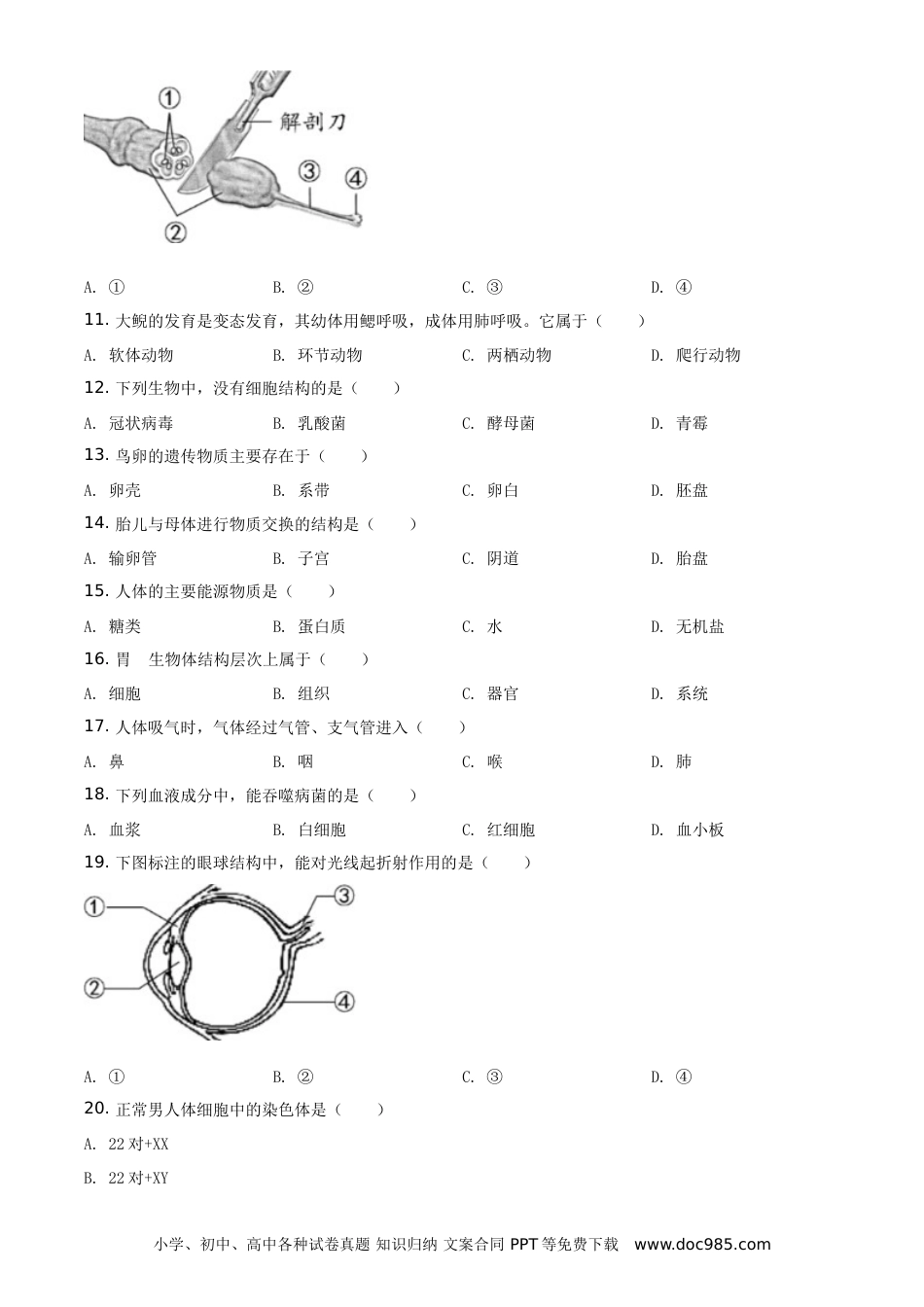 【中考历年真题】精品解析：福建省2020年中考生物试题（原卷版）.doc