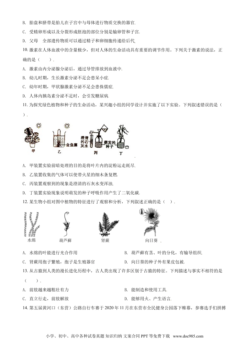 【中考历年真题】精品解析：山东省东营市2021年中考生物试题（原卷版）.doc