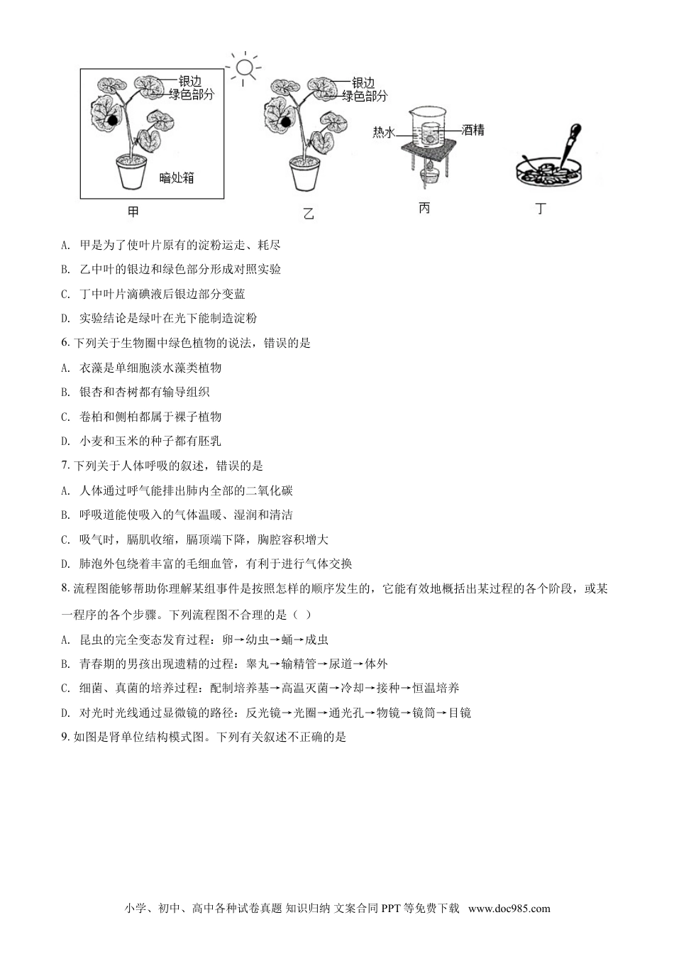 【中考历年真题】精品解析：山东省淄博市2021年中考生物试题（原卷版）.doc