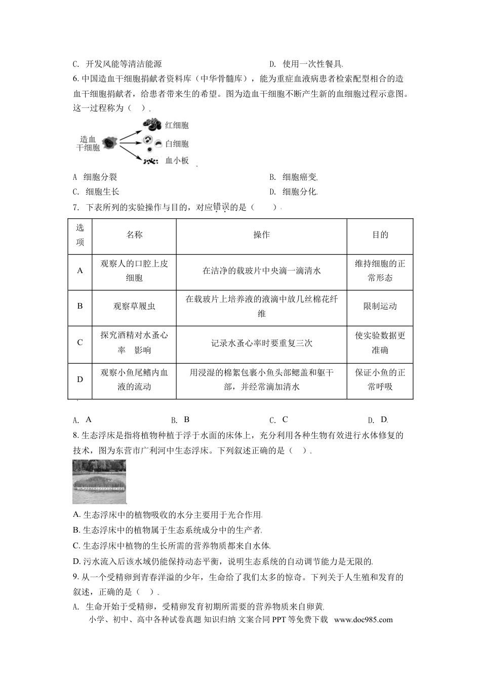 【中考历年真题】精品解析：山东省东营市2021年中考生物试题（原卷版） (1).doc