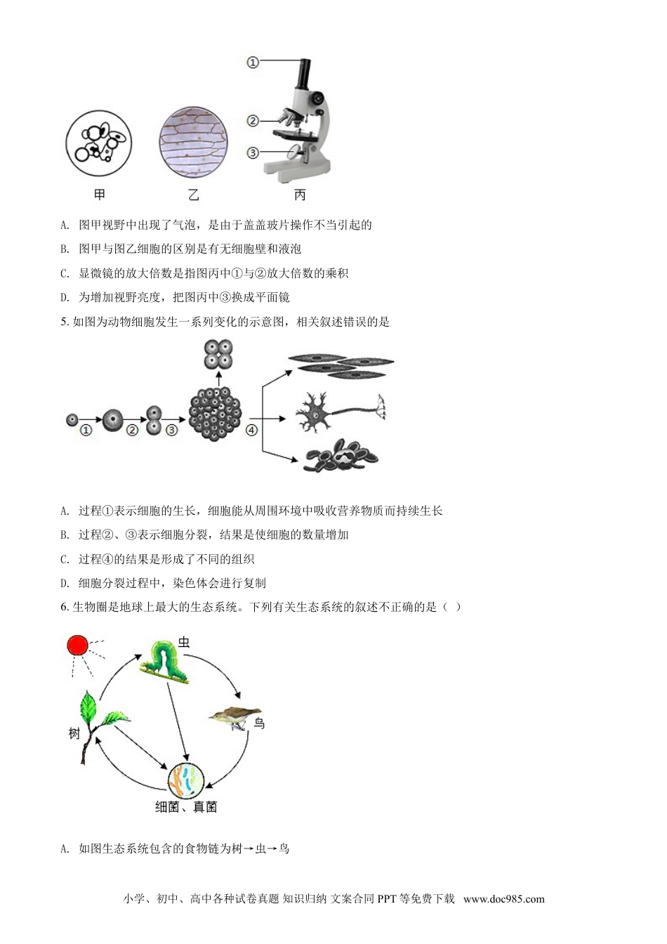 【中考历年真题】精品解析：湖南省衡阳市2021年中考生物试题（原卷版）.doc