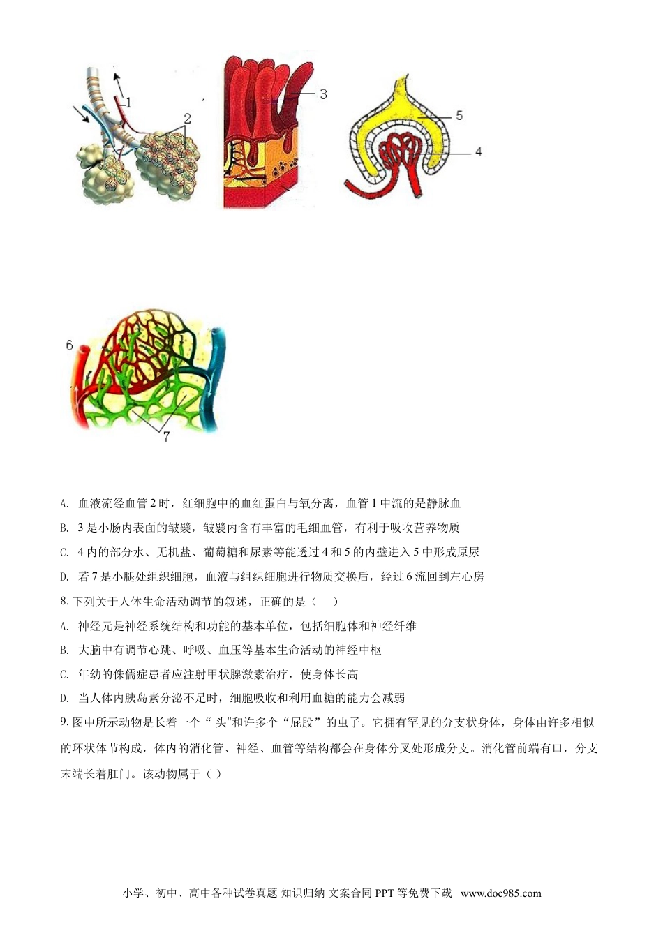 【中考历年真题】精品解析：山东省泰安市2021年中考生物试题（原卷版）.doc
