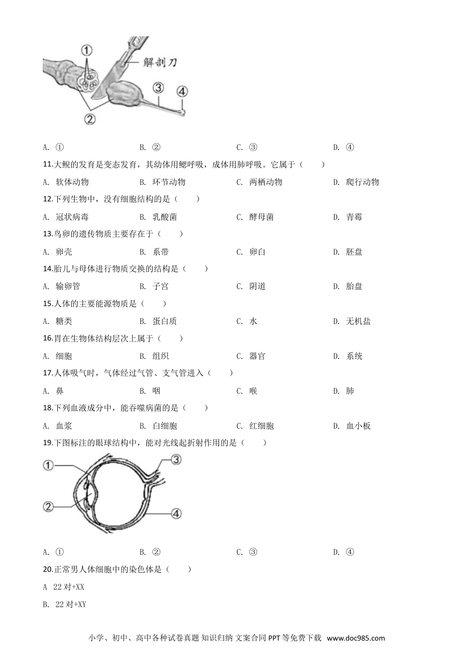 【中考历年真题】精品解析：福建省2020年中考生物试题（原卷版） (1).doc
