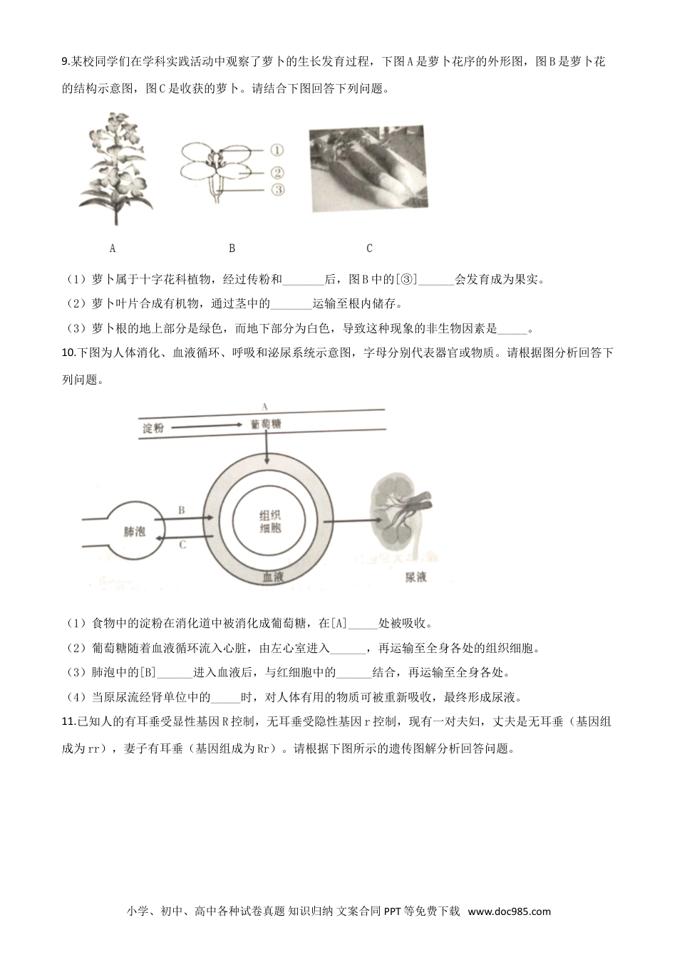 【中考历年真题】精品解析：甘肃省平凉市2020年中考生物试题（原卷版）.doc