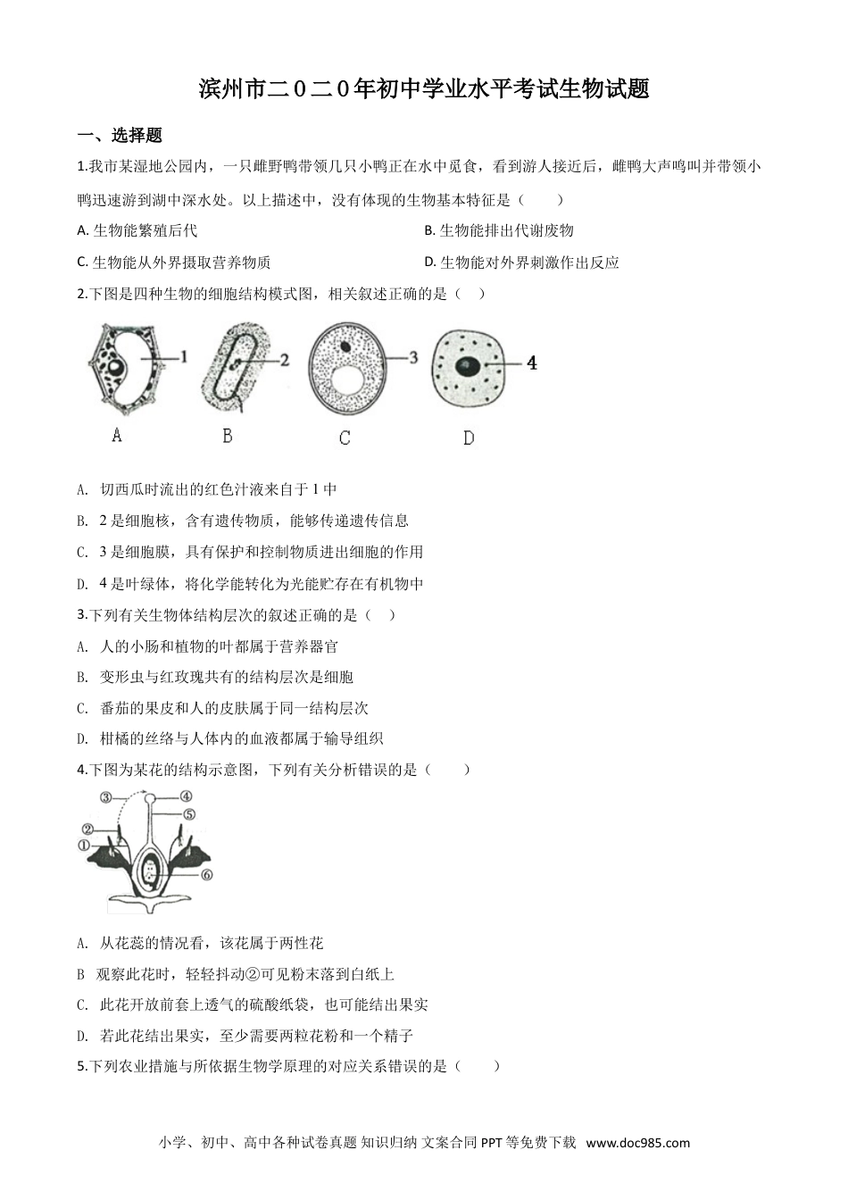 【中考历年真题】精品解析：山东省滨州市2020年中考生物试题（原卷版）.doc