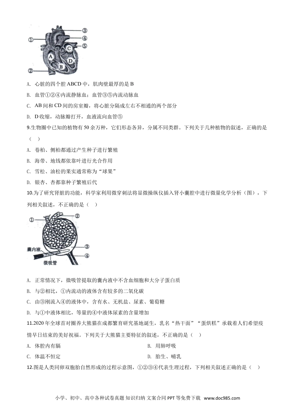 【中考历年真题】精品解析：山东省东营市2020年中考生物试题（原卷版）.doc