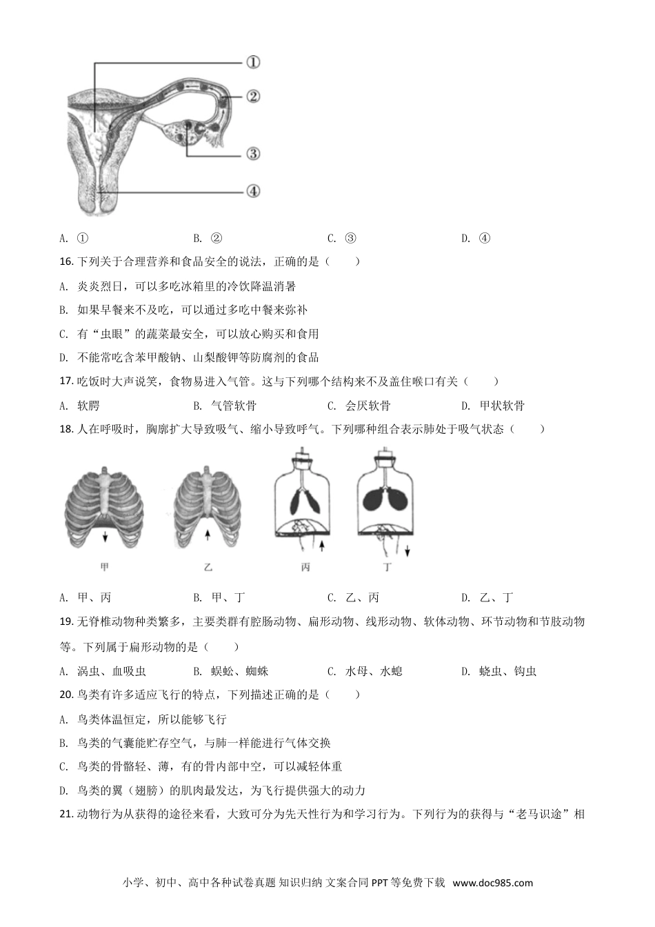【中考历年真题】精品解析：湖南省郴州市2020年中考生物试题（原卷版）.doc