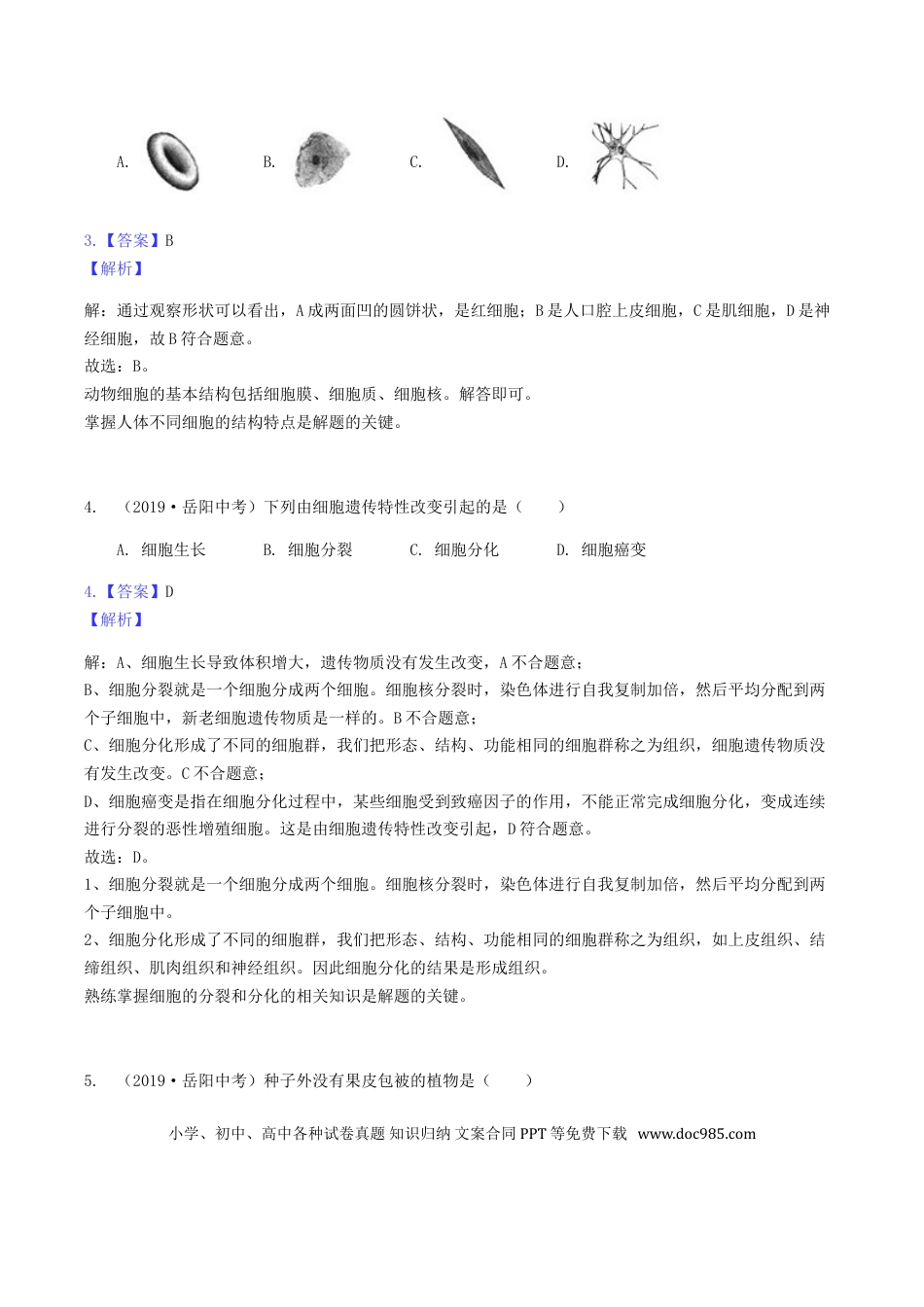 【中考历年真题】2019年湖南省岳阳市中考生物真题及答案.doc
