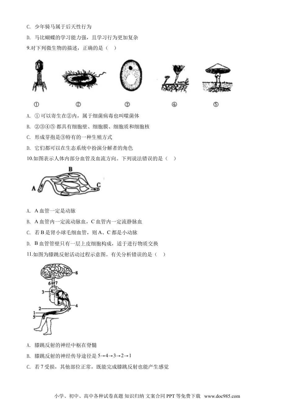 【中考历年真题】2020年中考生物试题.doc