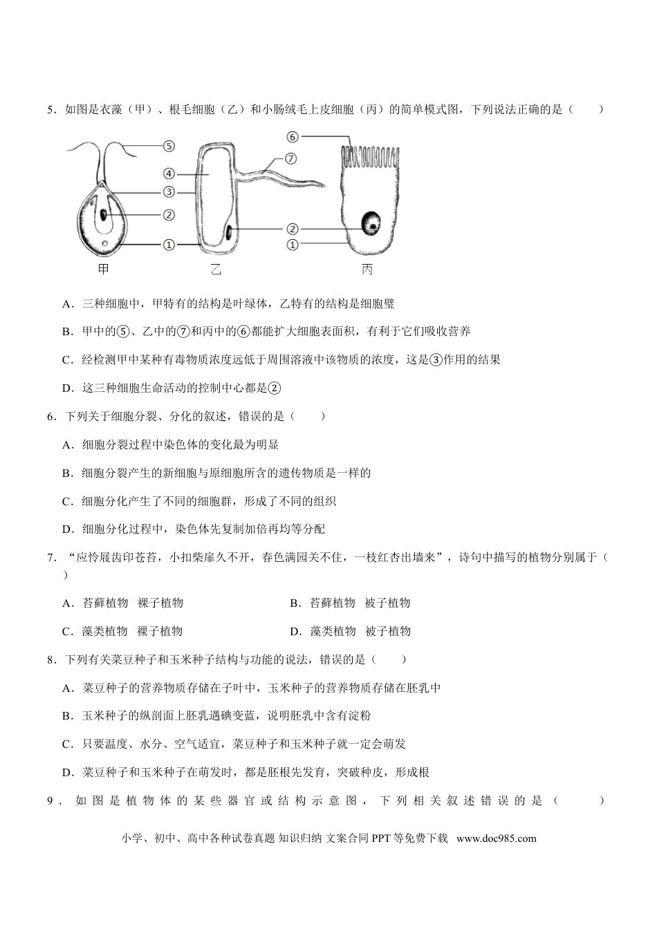 【中考历年真题】山东省临沂市2020年初中学业考试生物试题.doc