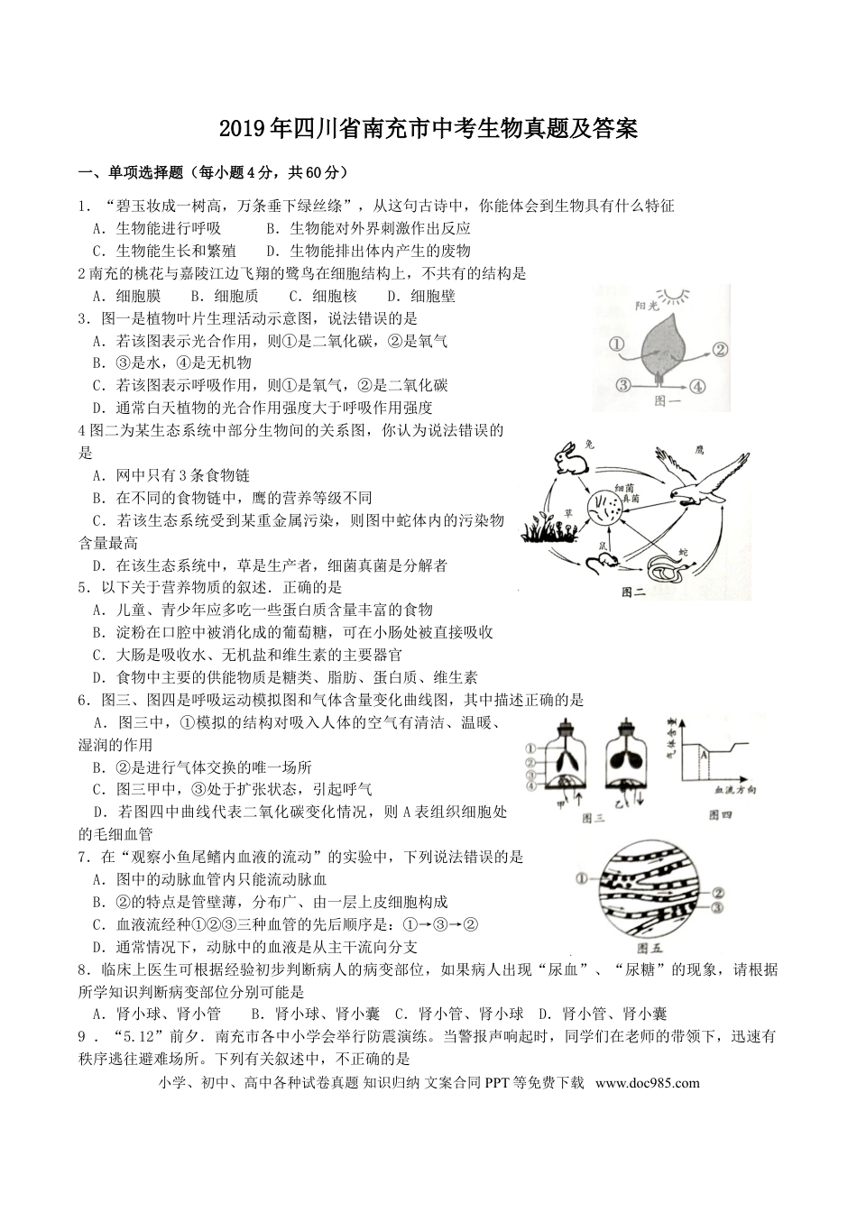 【中考历年真题】2019年四川省南充市中考生物真题及答案.doc