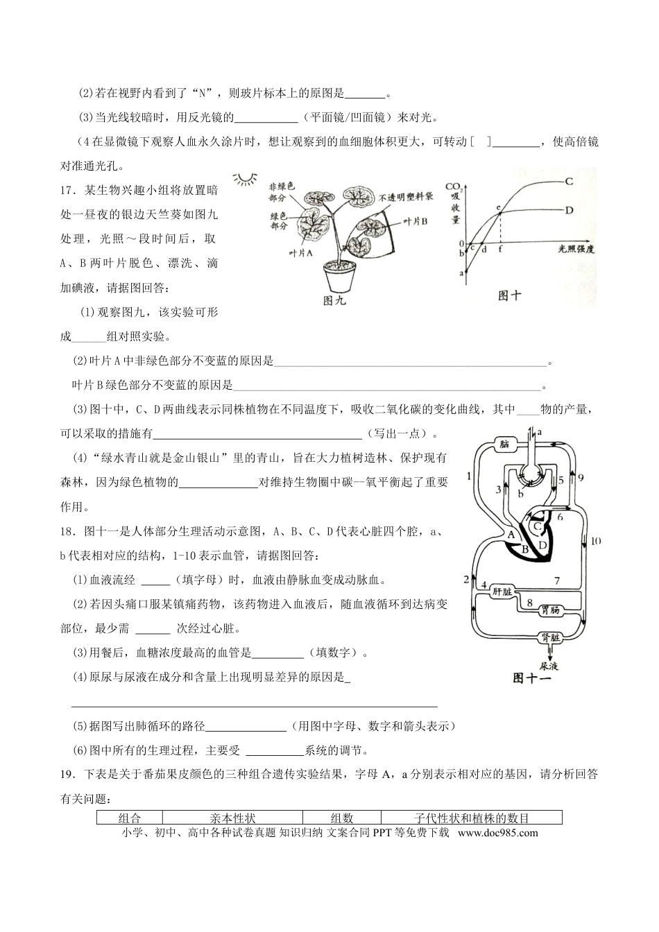 【中考历年真题】2019年四川省南充市中考生物真题及答案.doc