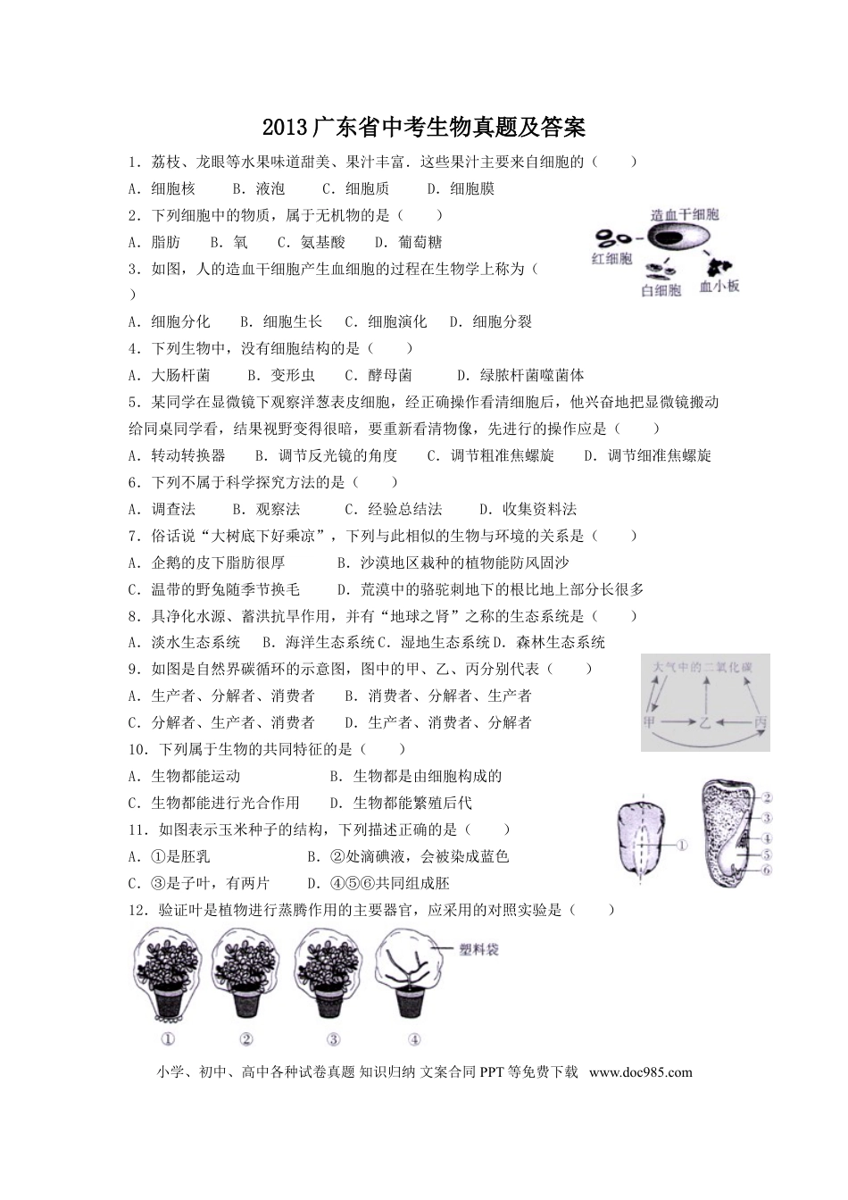 【中考历年真题】2013广东省中考生物真题及答案.doc