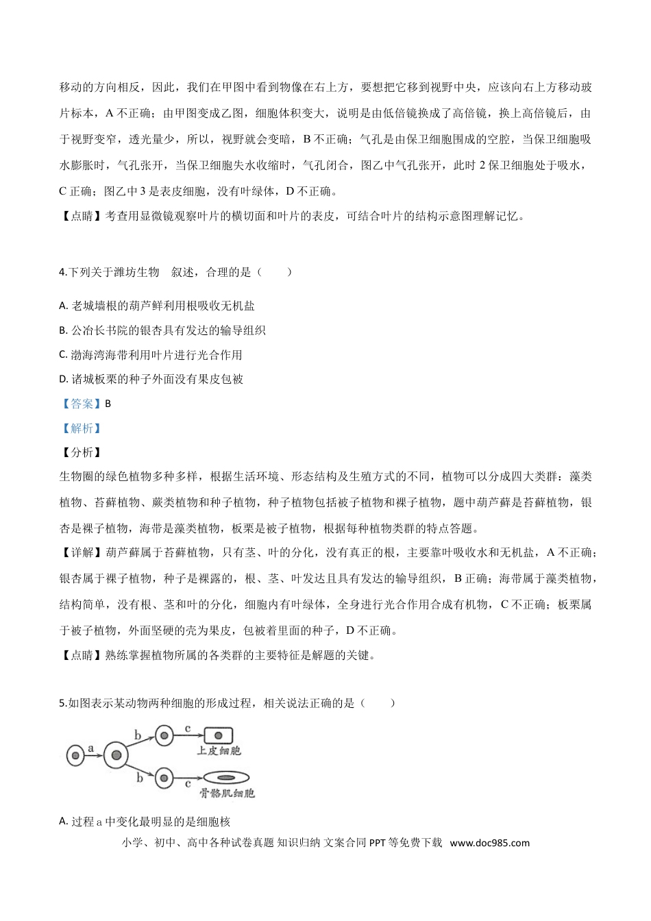【中考历年真题】精品解析：2019年山东省潍坊市中考生物试题（解析版）.doc