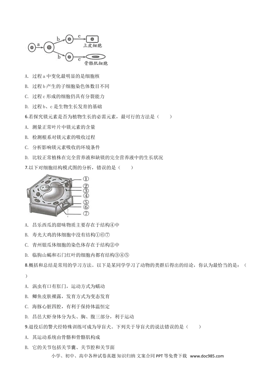 【中考历年真题】精品解析：2019年山东省潍坊市中考生物试题（原卷版）.doc