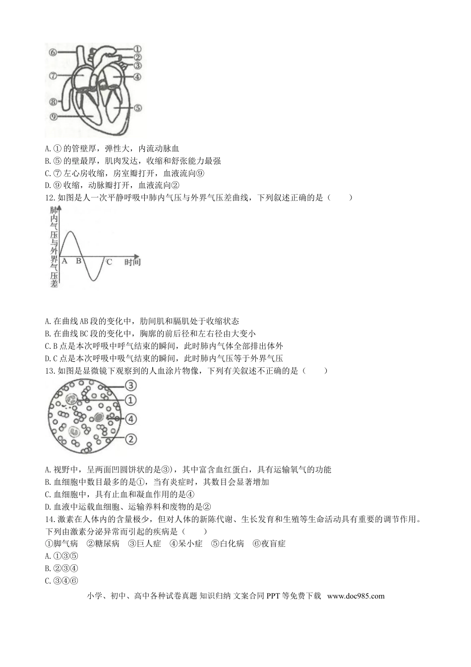 【中考历年真题】山东省临沂市2019年初中学业考试生物试题.doc