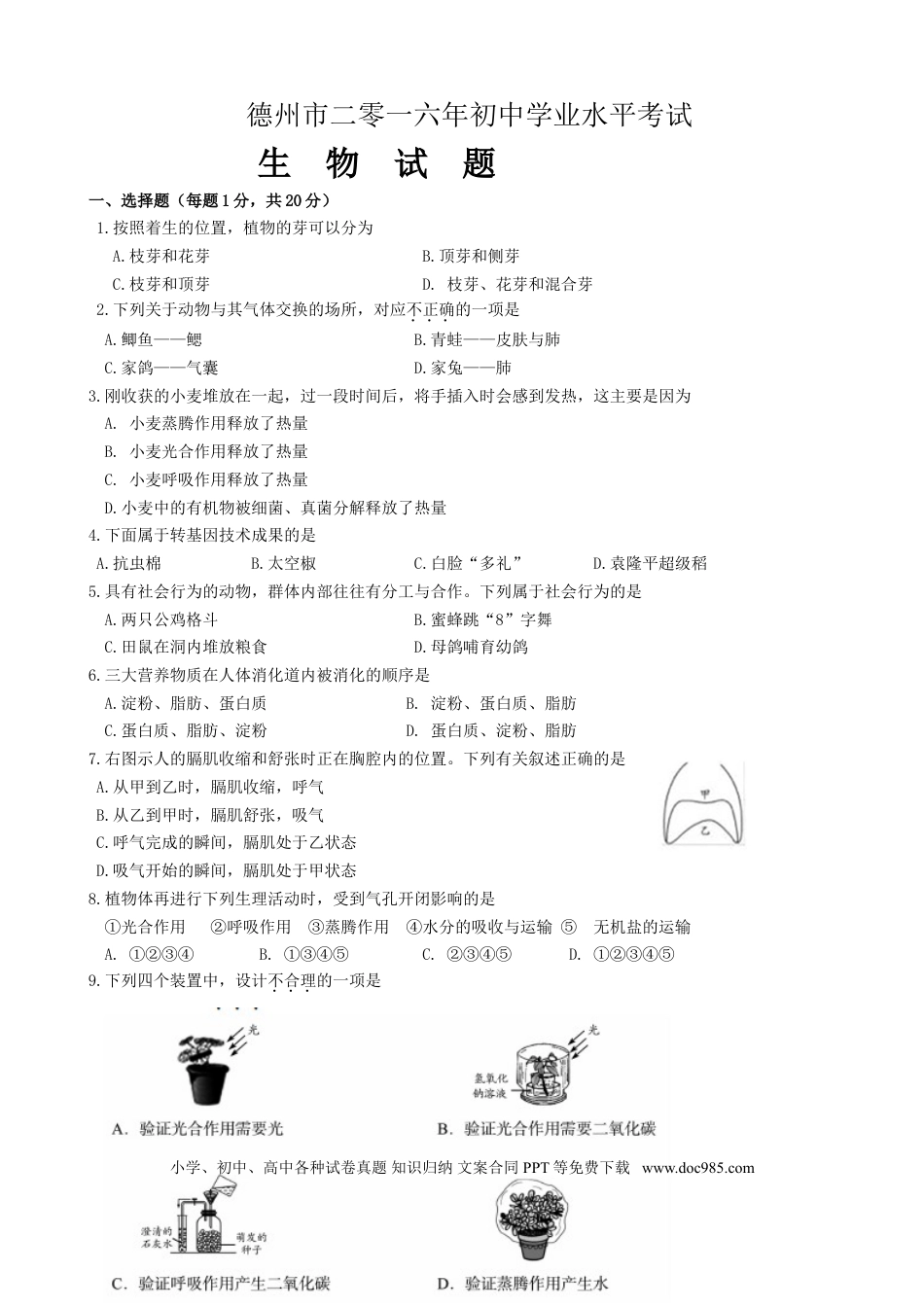 【中考历年真题】2016年德州市中考生物试题及答案.doc