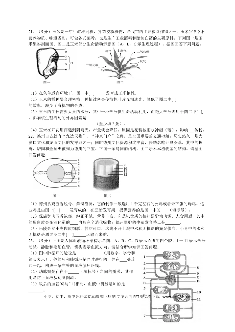 【中考历年真题】2017年德州市中考生物试题及答案.doc