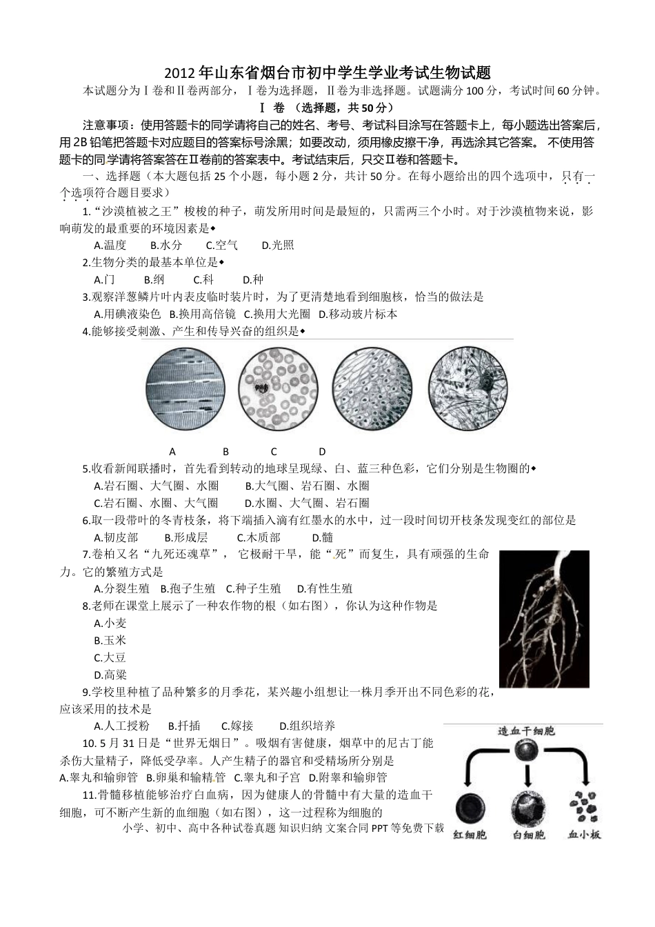 【中考历年真题】2012烟台市中考生物试题及答案(word版).doc