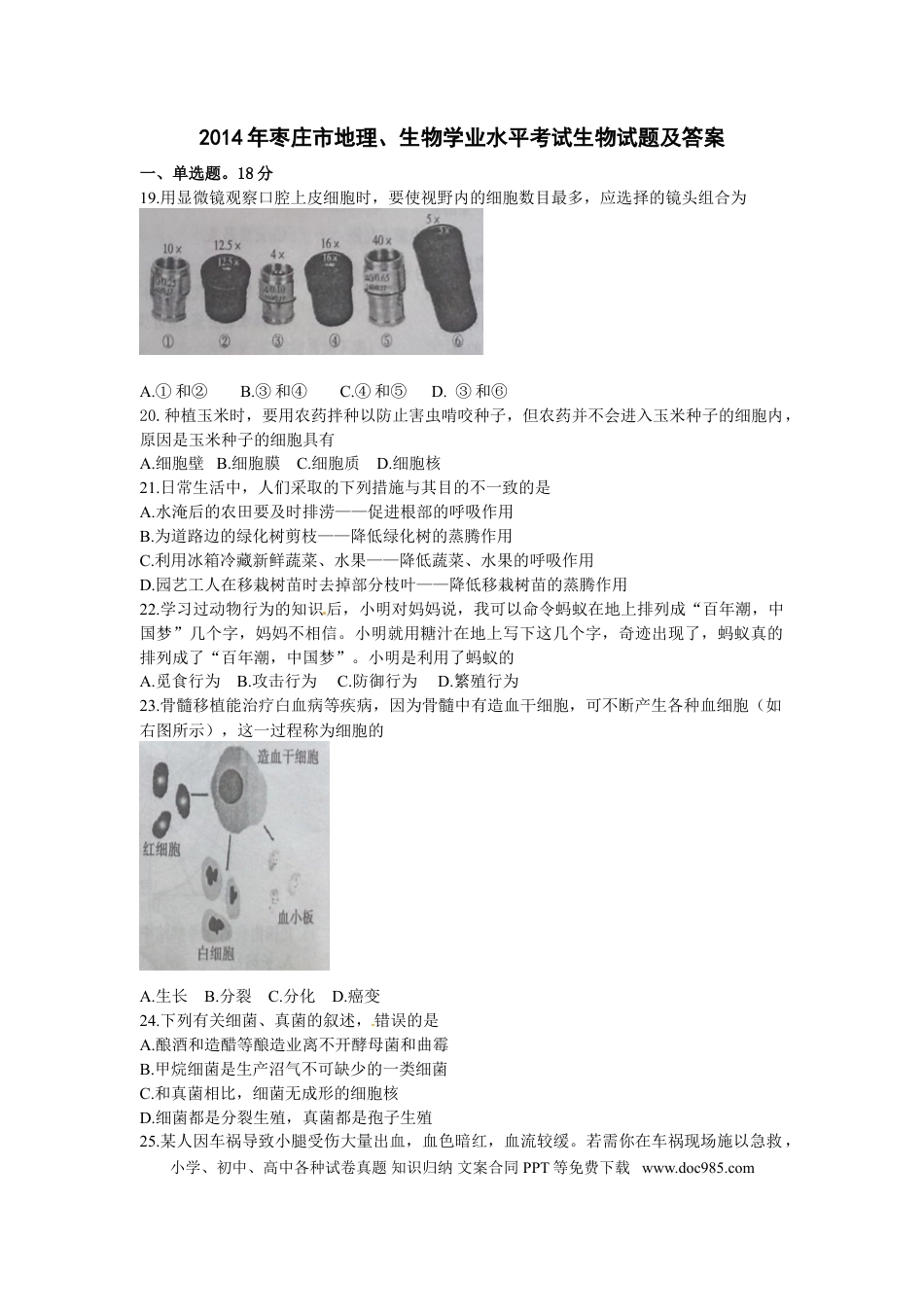 【中考历年真题】2014年枣庄市中考生物试题及答案.doc