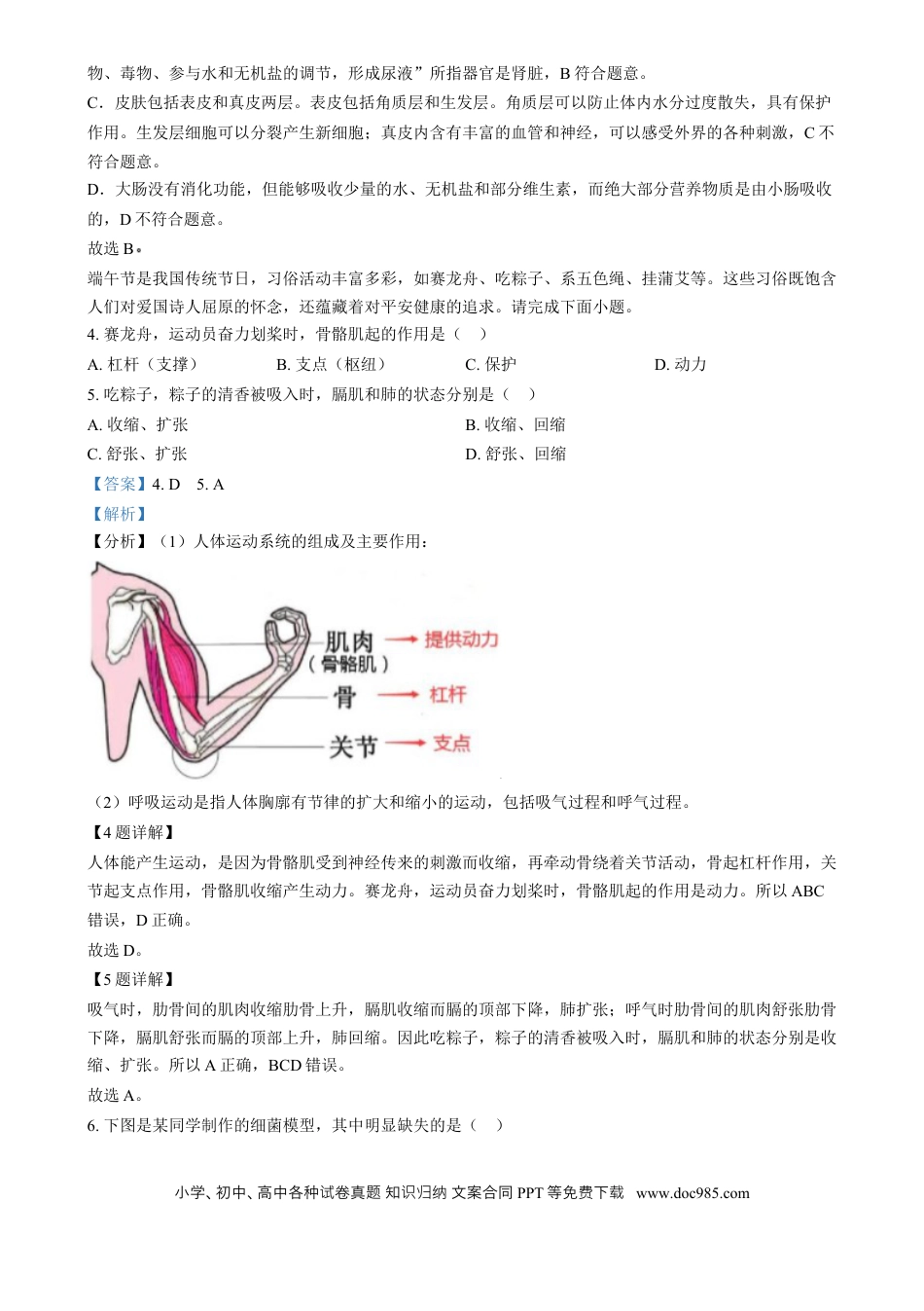 【中考历年真题】精品解析：2024年江西省中考生物真题（解析版）.docx