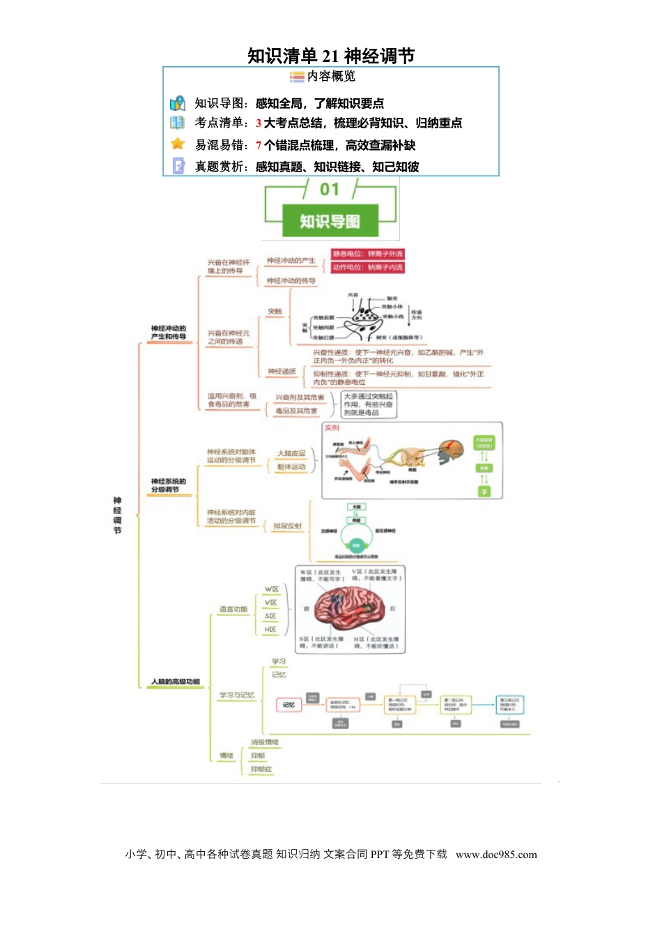 高中生物 知识清单21 神经调节（3大考点 7个易错点）[h][47459023].docx