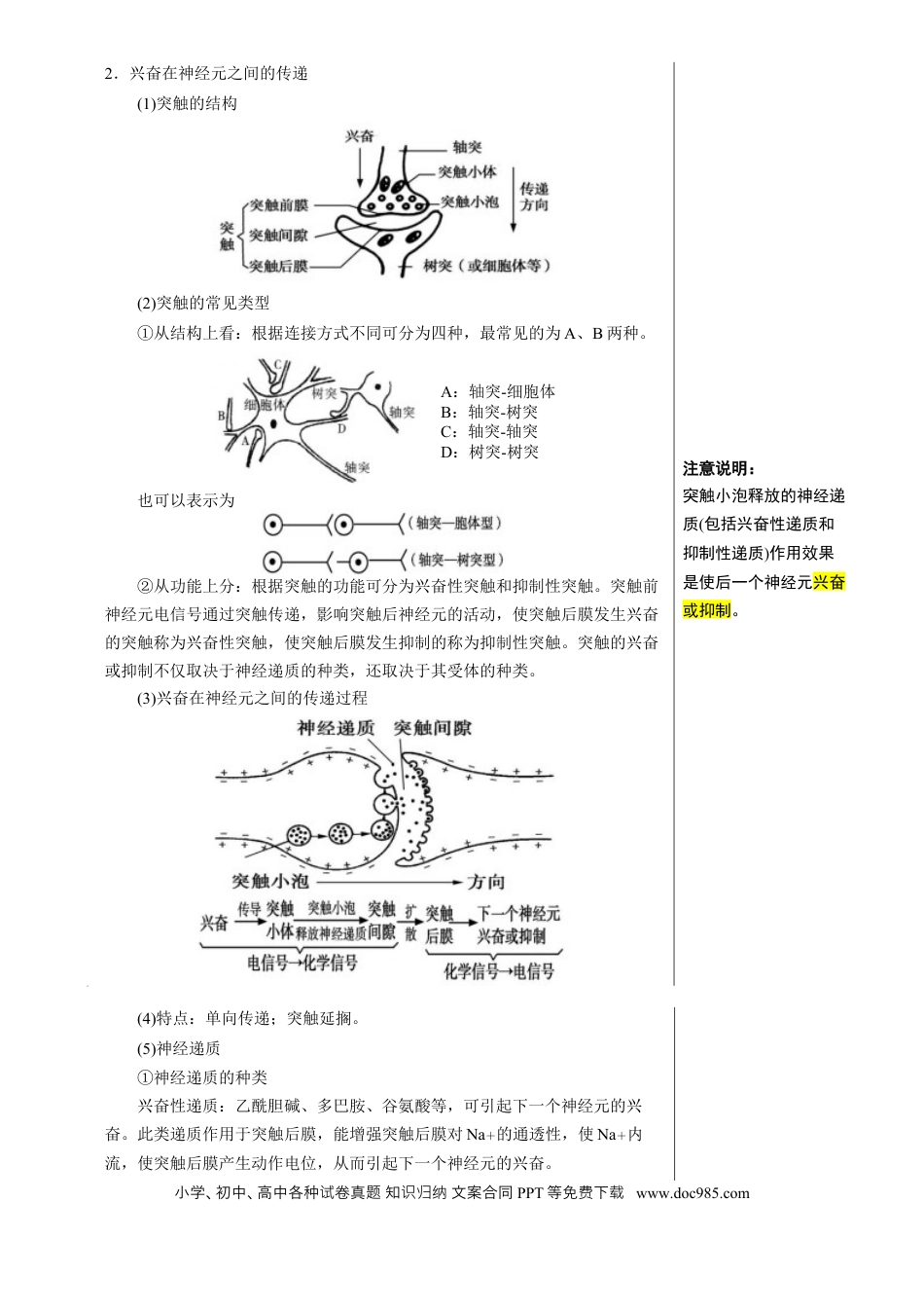 高中生物 知识清单21 神经调节（3大考点 7个易错点）[h][47459023].docx