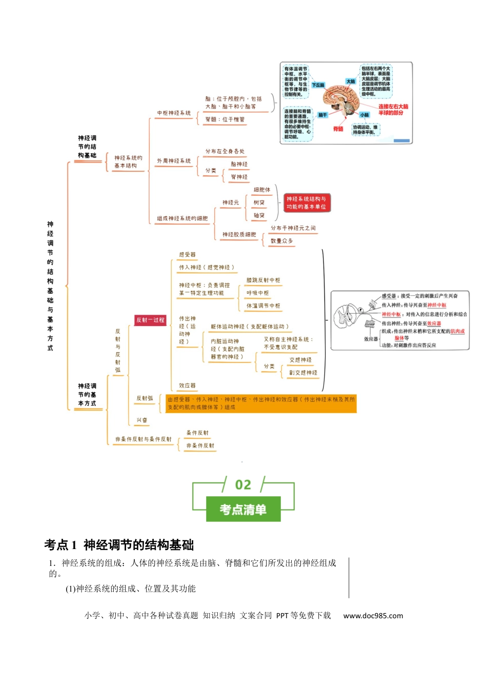 高中生物 知识清单20+神经调节的结构基础与基本方式（2大考点+5个易错点）.docx