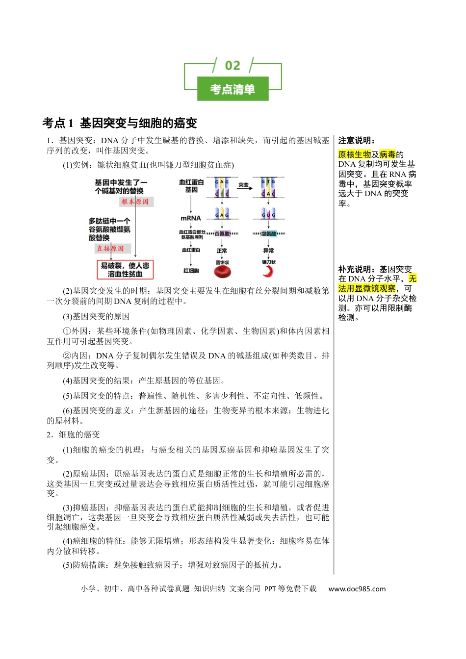 高中生物 知识清单17+基因突变及其他变异（4大考点+10个易错点）.docx