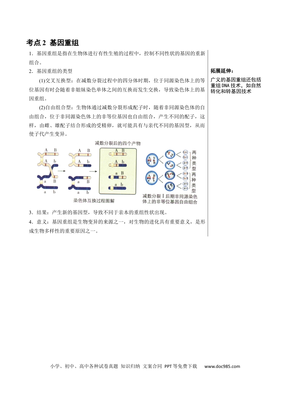 高中生物 知识清单17+基因突变及其他变异（4大考点+10个易错点）.docx